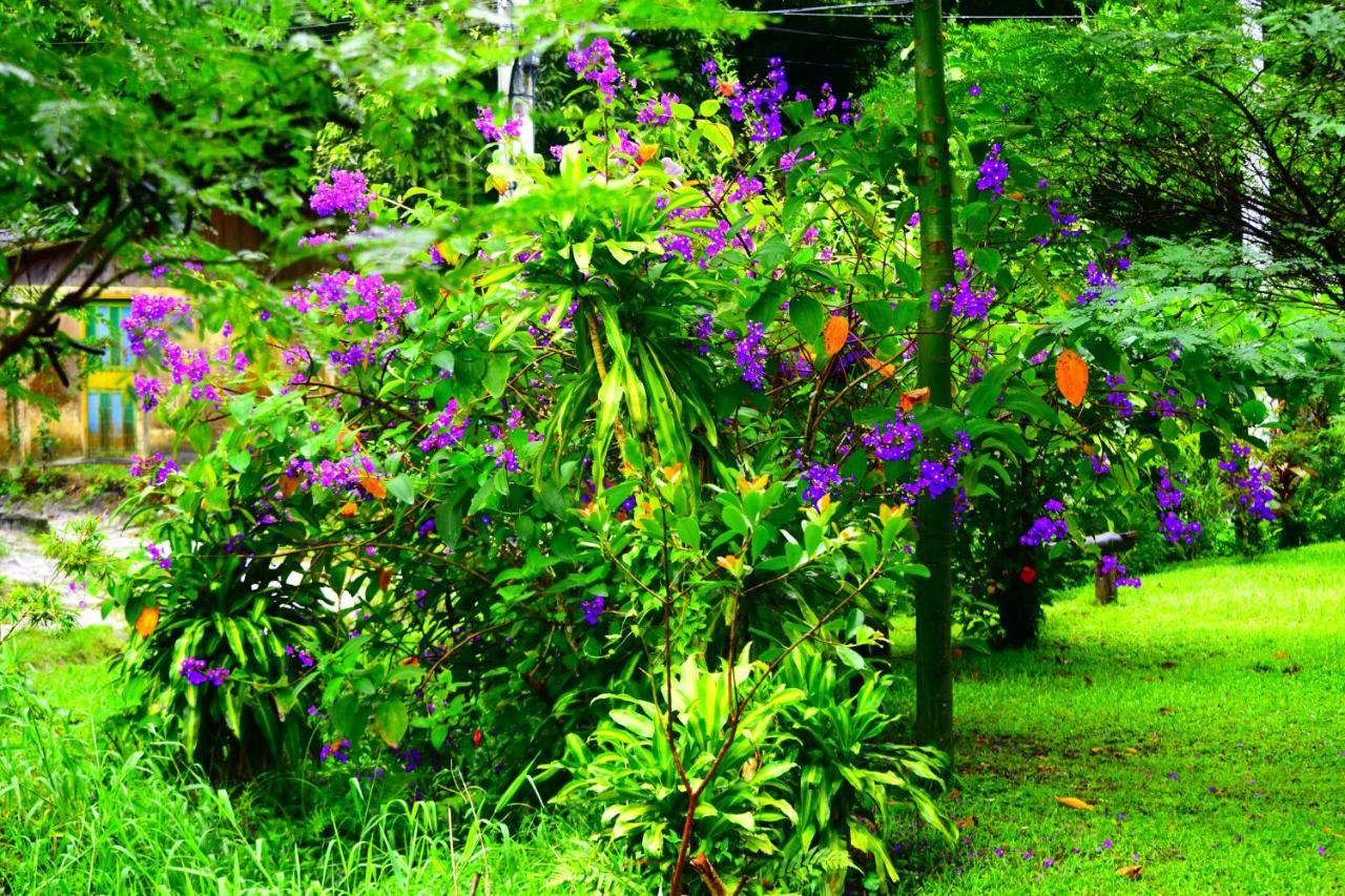 Pousada Duda Mel Ilha do Mel Exterior photo